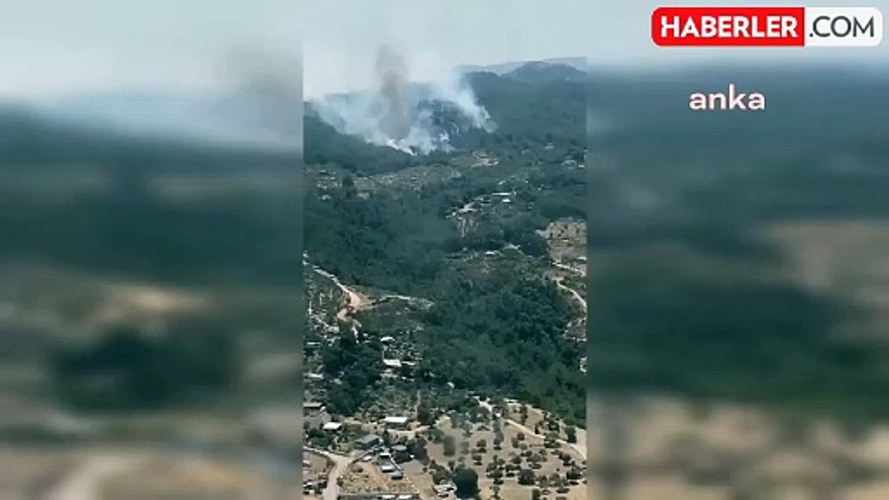 İzmir Menderes'te Orman Yangınına Havadan ve Karadan Müdahale