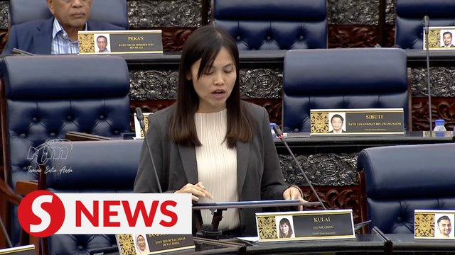 PoP Phase 1 project 99.11% complete, remaining six in Southern Zone, says Teo Nie Ching