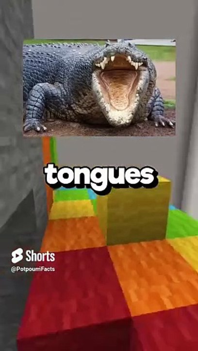 Did You Know  Weird Facts Nobody Talks About!  #WeirdFacts #HiddenTrivia