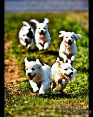 Project_07-10(1)_HD 720p_MEDIUM_FR30