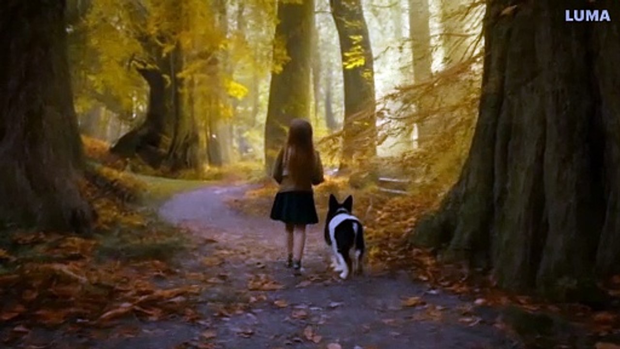In the quiet village of Pinebrook, nestled at the edge of an ancient forest,