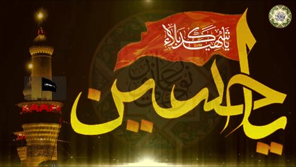 إحنا غير حسين ما عندنا وسيلة والذنوب هواي كفتها ثجيله وغداً يبدو لنا سداً منيعا هذه آراؤنا فيه جميعا