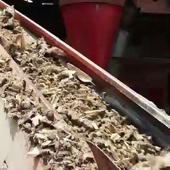 عملية مذهلة لسحق عظام الجاموس