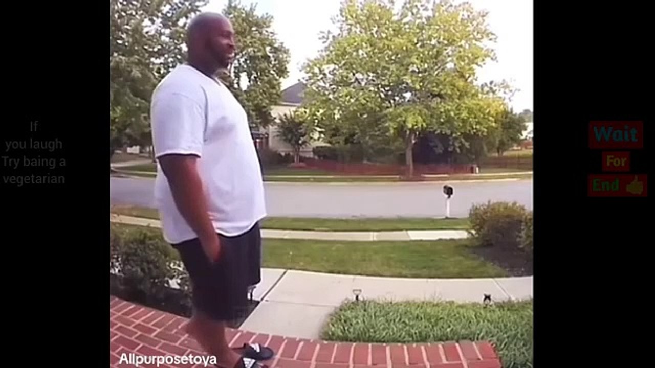 Try Not To LAUGH  Best funny videos compilation  Memes PART 10