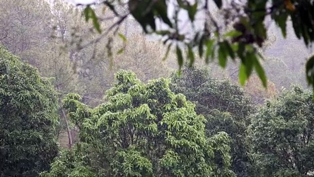 Clima: Pronóstico del tiempo de hoy jueves y mañana viernes 12 de julio en República Dominicana