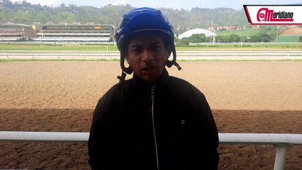 Hipismo: Maykor Ibarra, Jinete Profesional.