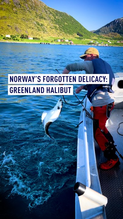 Holy mackerel! Halibut is getting Norwegian fis...