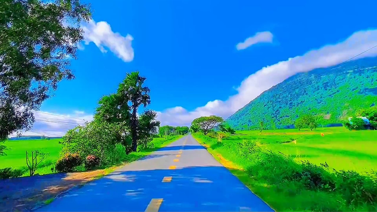 Mỗi Ngày tôi chọn một niềm vui - Tác giả Trịnh Công Sơn