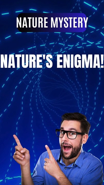 "Brain Teasers, Riddles & Logic Puzzles | RiddleXc