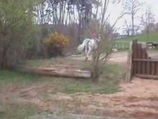 15 avril 2008 Indienne Cross