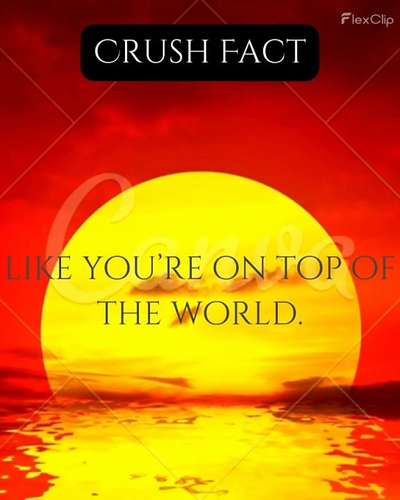 Crush on Top