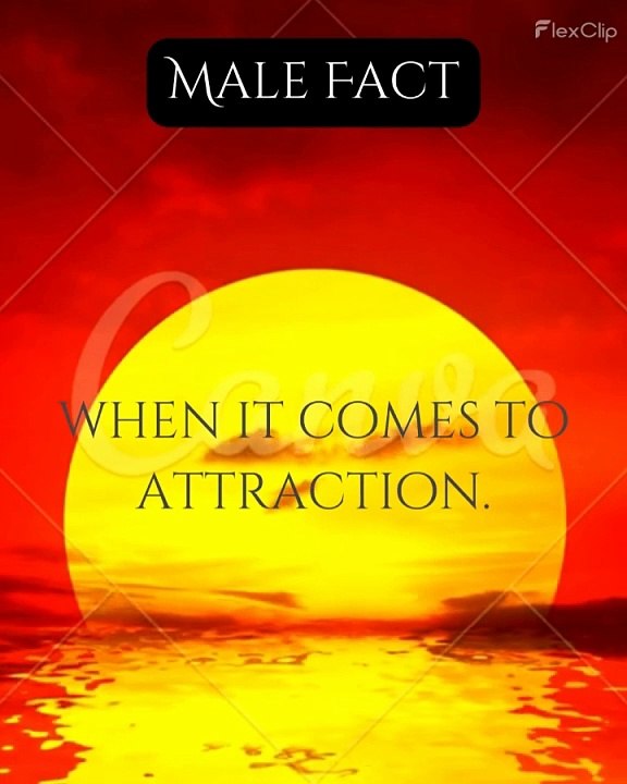 Visual Attraction