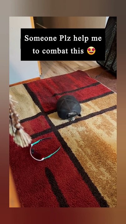 Cat in Trouble