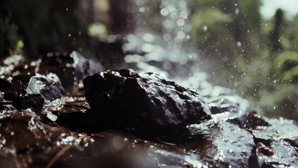4441066-hd_1920_1080_25fps
