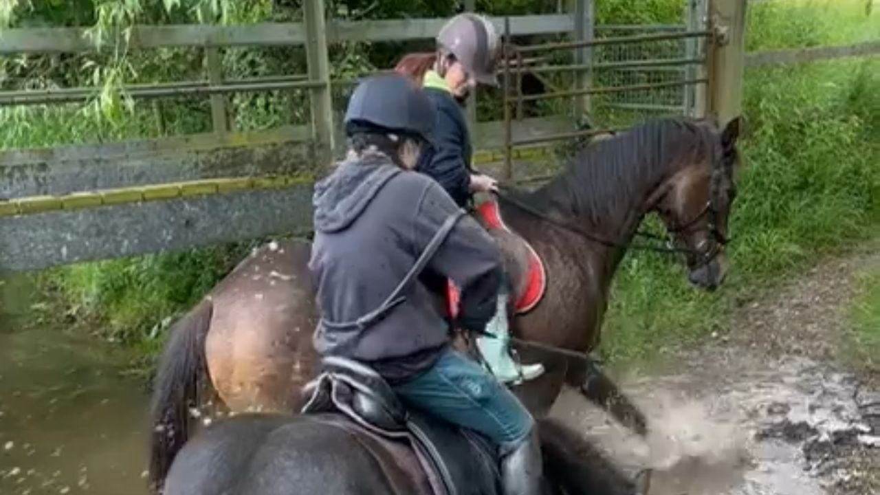 Rider panics as silly horse decides to take a bath during ride