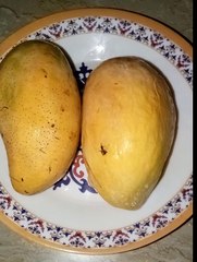 Fresh Mango Slice Juice| Mango Slice Juice at home|Mango Juice|