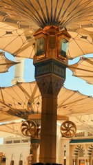 رسول اللہ صلی اللہ علیہ وسلم نے فرمایا