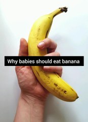 Why babies should eat banana 