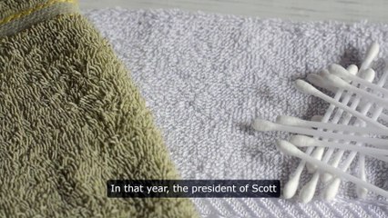 What Is The History Of Paper Towels?