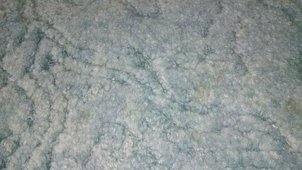 VHS Finds Quickie: Wednesday July 10th, 2024