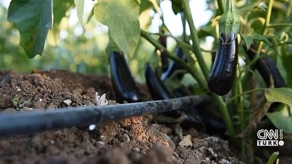 Gıdada fiyatlar neden artıyor? Tarım Bakanı Yumaklı yanıtladı