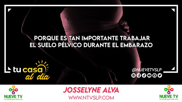Porque es tan importante trabajar El suelo pélvico durante el embarazo