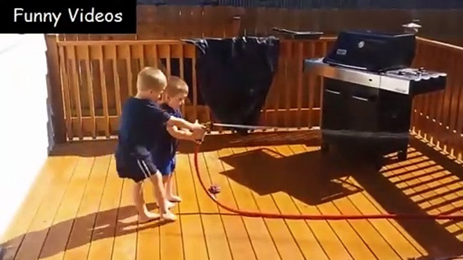 Funny animals Funny cats/ dogs Funny animal videos