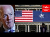 'There Is No Other Country That Can Fill The Void': John Cornyn Urges Strong US Leadership Of NATO
