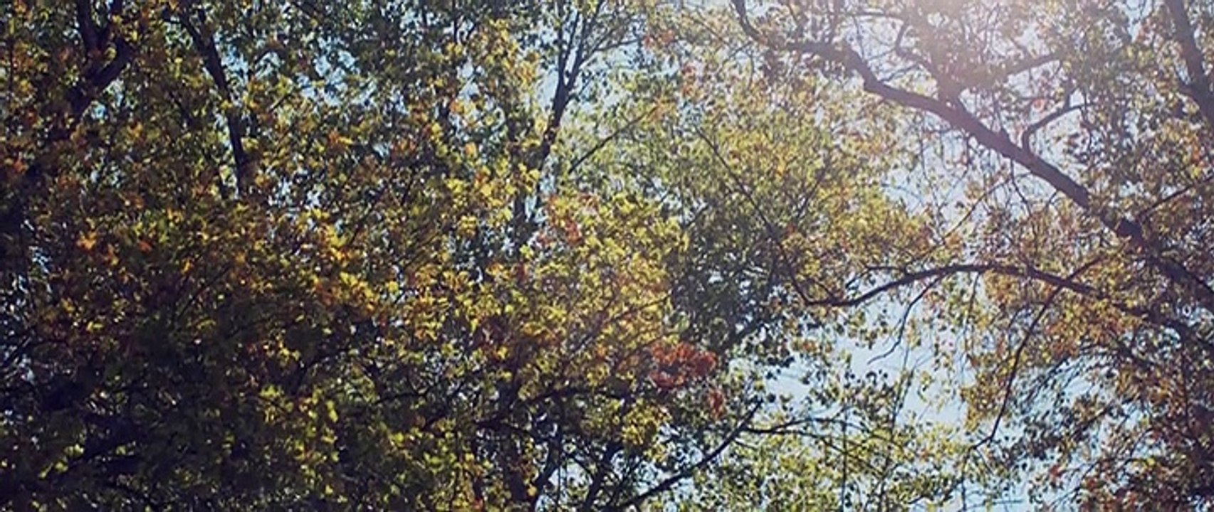 Josie - Sie umgibt ein dunkles Geheimnis (2018) stream deutsch anschauen