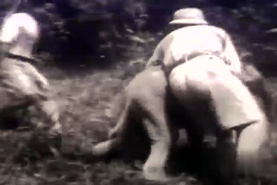 Jungle Cavalcade (1941) - Full Movie - Frank Buck