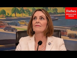 'Saddle American Families With Higher Costs': Castor Pans GOP's Effort To Block Efficiency Standards