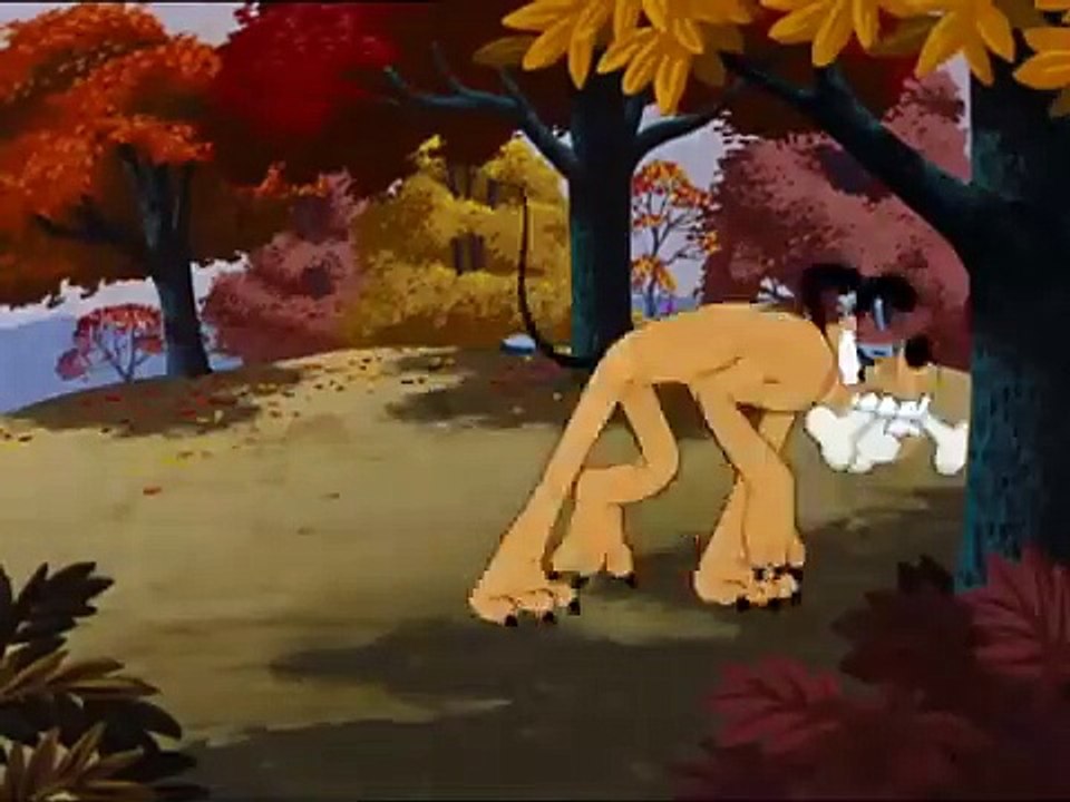1000016974