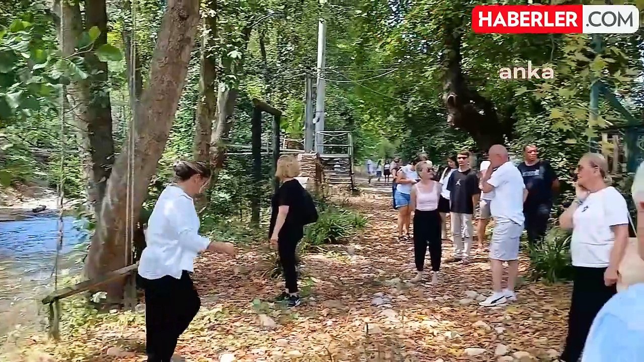 Akçakoca'da Dere İçin Ağaç Kesimi Kararına Doğa Severlerden Eylem