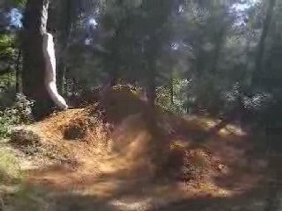 IMGP5086