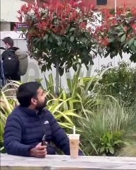 Some sources says they both still looking for money in that tree_360p