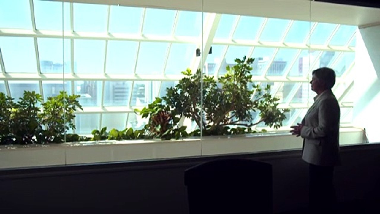 Calls for review as South Australia's anti-corruption commissioner Ann Vanstone resigns