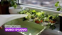 Vasi creativi: Gusci d'uovo