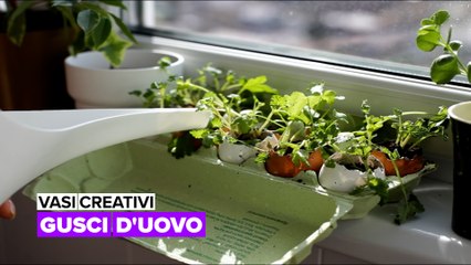 Vasi creativi: Gusci d'uovo