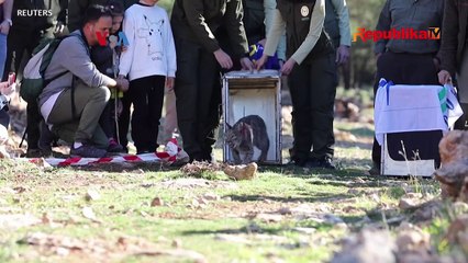 Populasi Satwa Langka Masih Bisa Diselamatkan