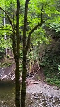 Vancouver Islands - Nanaimo