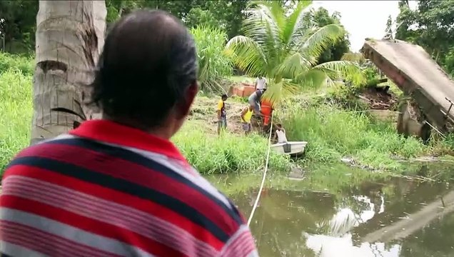 DOZENS MAROONED AS BRIDGE COLLAPSES