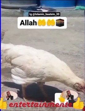 سبحان الله ما شاء الله