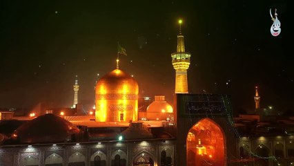 Noha 2024 _ Ya Imam E Raza _ Farhan Ali Waris
