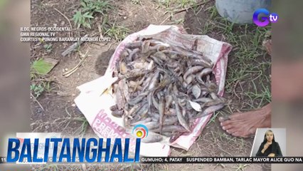 Fish kill sa Ilog-hilabangan river, iniimbestigahan| Balitanghali