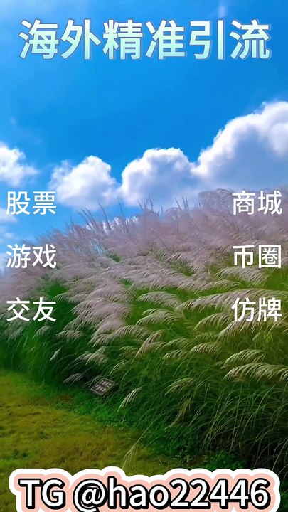7月4日 (9)