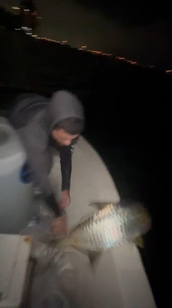 Man Loses Fish Back to Sea After Failed Photo Attempt