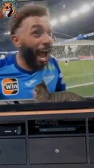 Cat Watching Football ⚽ Match| Funny Cat 2024|