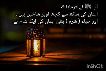 Quran and Sunnah# Hadith of the Day# Sahi Bukhari