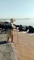 A man cross the river without boat