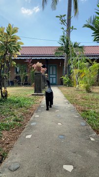 2 & 3 BHK Premium Flats is launched in Bangalore at Birla Trimaya